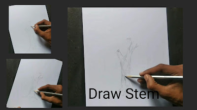 How to draw tree how to draw a stem for tree ,step by step tutorial for to draw Trees, how to draw Trees, drawing for begginers, basic drawing tutorial