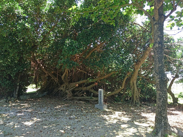 沖縄陸軍病院壕跡(サキアブ)の写真