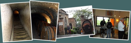 Exibir Gattavecchi