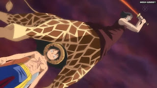 ワンピースアニメ パンクハザード編 582話 キリンタウロス | ONE PIECE Episode 582