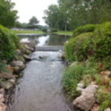 View album
