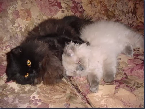 spooning