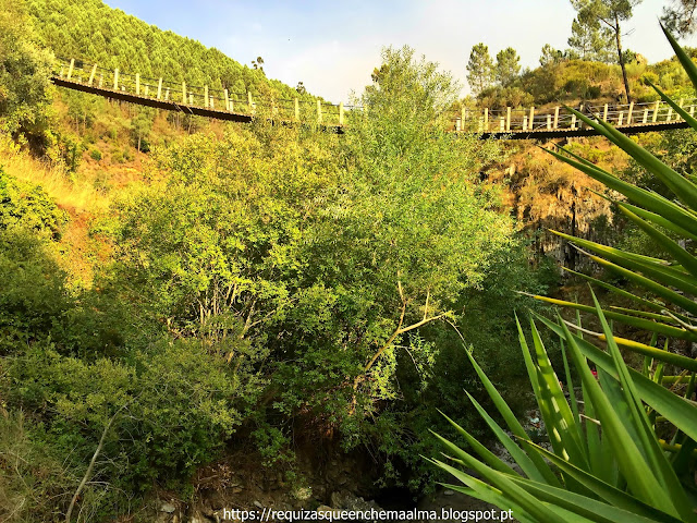 Ponte Suspensa, Foz d'Égua