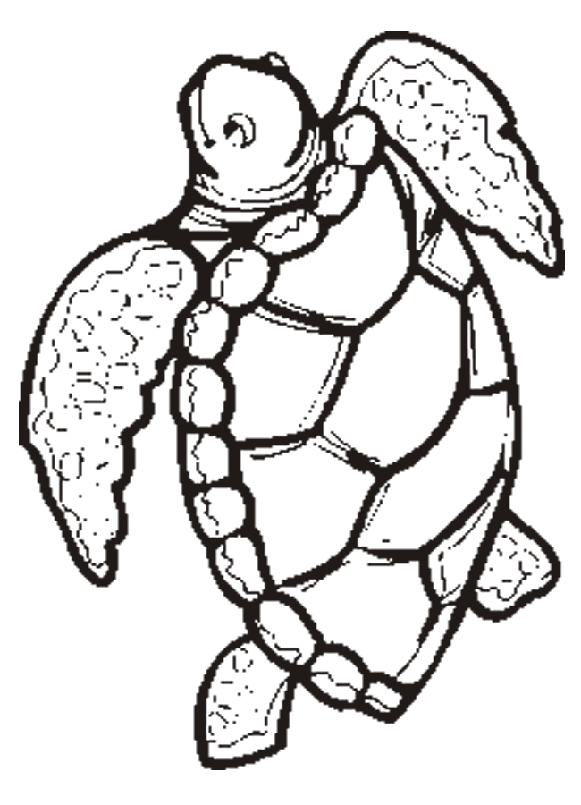 Download Free Printable ANimal " Turtle " Coloring Pages