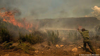 A fire broke out in Kenya's Sovo National Park for two days Kenya's Sovo National Park Fire