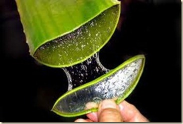Tratamientos para el Cabello a Base de Sábila1