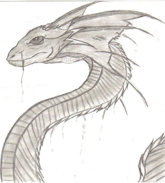 Sea Serpent Drawing Google Search  Cartoon Sea Serpent Coloring