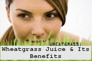 https://foreverhealthy.blogspot.com/2012/05/wheatgrass-juice-its-spectacular.html#more