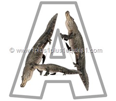 a alligator