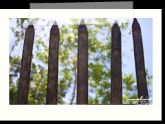 Kawayan Fence