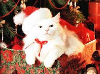 Christmas Cats Desktop Wallpapers