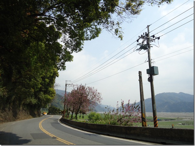 DSC01309