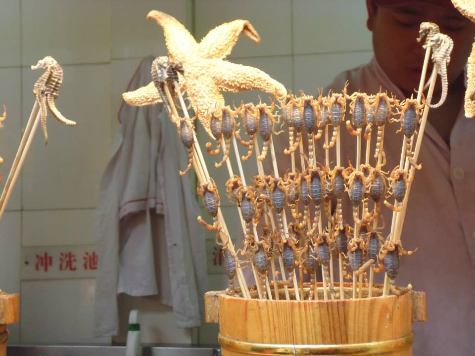 Pinchitos de estrellas de mar, caballitos de mar y alacranes en el Wangfujing Snack Street (Beijing) (@mibaulviajero)