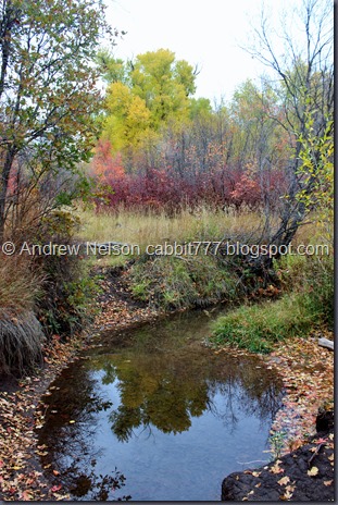 IMG_0089 - Copy