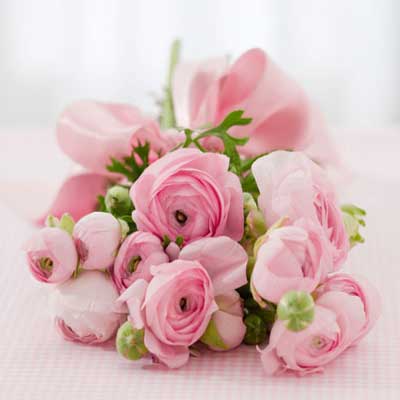 mysweetprincess ::***: 6 warna bunga ros dan maksud ...