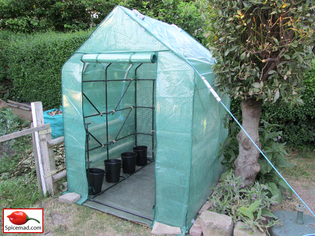 Walk-In Plastic Greenhouse - 10th May 2020