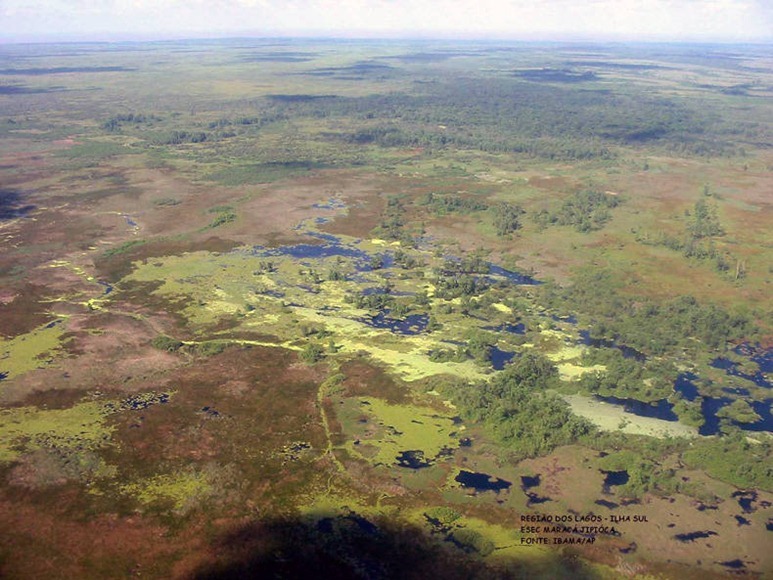 Reserva Biologica Ilha de Maracà - Amajarì, Roraima, foto: IBAMA