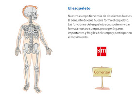 http://www.infantil.librosvivos.net/archivosCMS/3/3/16/usuarios/103294/9/6EP_Cono_cas_ud3_elEsqueleto/el_esqueleto.swf