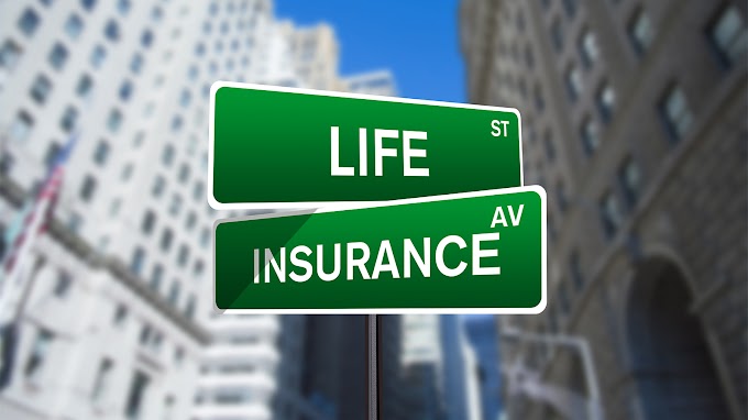 More about Haven Life insurance (2022)