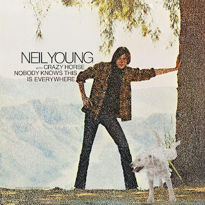 Neil Young - Nobody Knows This Is Everywhere
