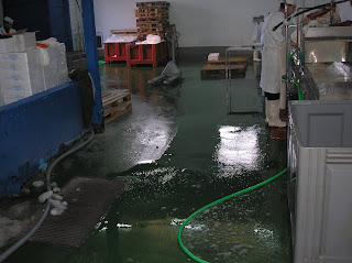 pavimentos para zonas humedasy empresas de pescado