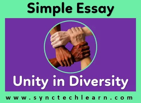 essay on unity in diversity in english
