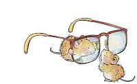 Mice Glasses