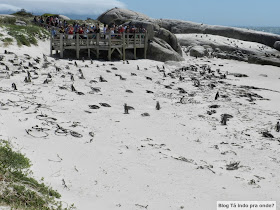 Boulders Beach