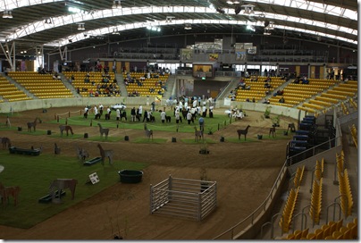 National Alpaca Show 2010