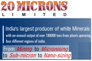 20 Microns IPO