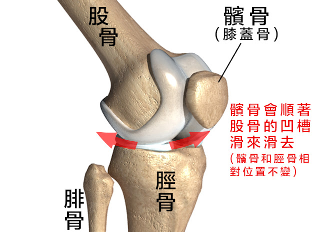 髕股痛 跑者膝 髕骨股骨疼痛症候群