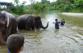 Baanchang Elephant Park de Chiang Mai.