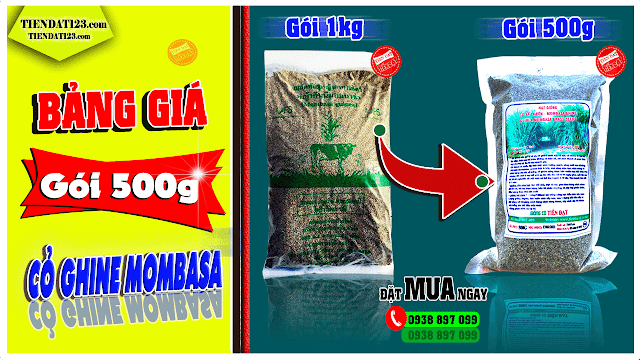 Giá cỏ ghine mombasa lá lớn bao nhiêu tiền gói 500g