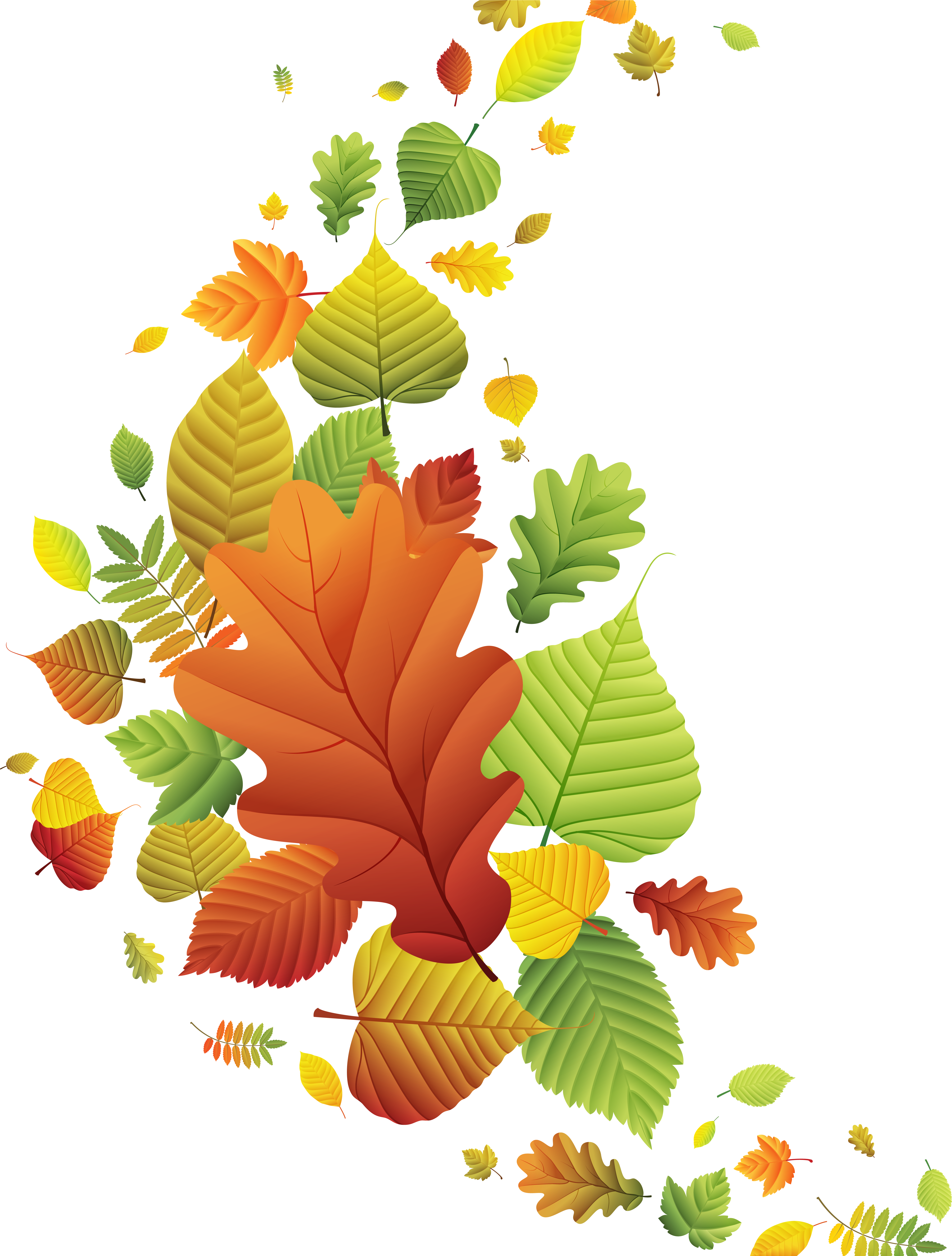 Leaves for school. Осенние листья. Осенние листочки. Осенние листья вектор. Осенние листья на прозрачном фоне.