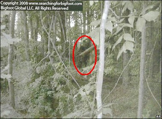 Georgia Bigfoot photos Georgia Bigfoot photos