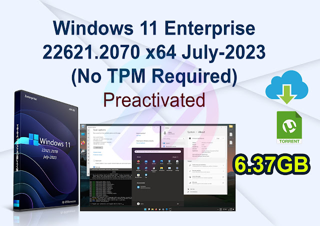 Windows 11 Enterprise 22621.2070 x64 July-2023 Pre-activated (No TPM Required)