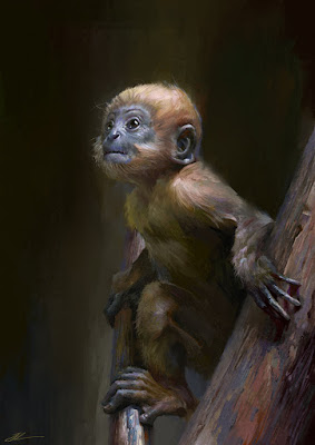 The little monkey by Junling Wang