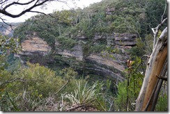 Around Wentworth Falls, Blue Mountains