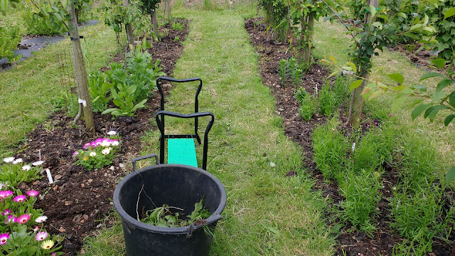 Creating a cutting garden