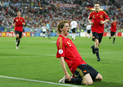 Fernando Torres World Cup 2010 Celebration Wallpaper
