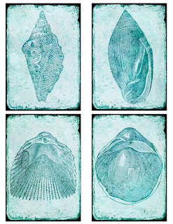 sea shell background collage atc crafting scrapbooking downloads