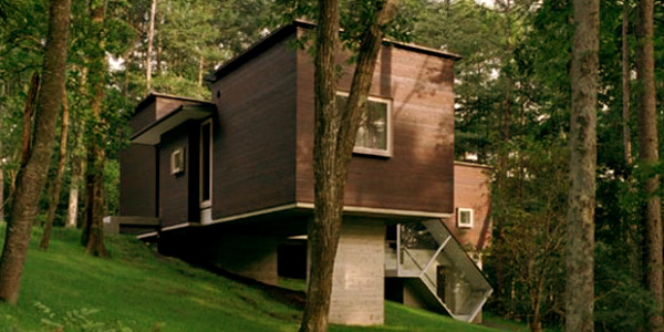 Merancang Desain Rumah Minimalis Ramah Lingkungan (Green House)