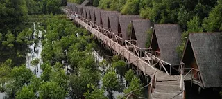 penginapan di kawasan hutan mangrove pik jakarta