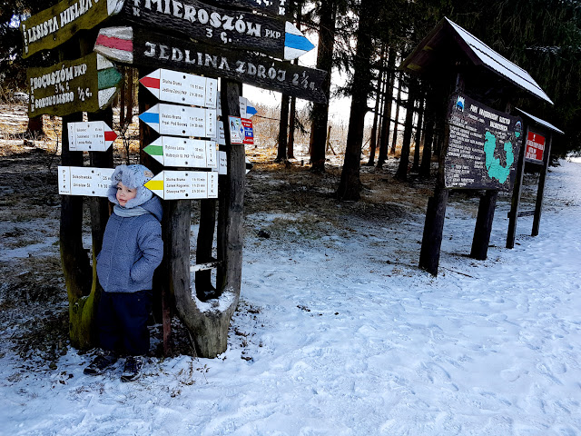 Gdzie na narty i sanki na Dolnym Śląsku? - Schronisko PTTK Andrzejówka - Góry Suche - Park Krajobrazowy Sudetów Wałbrzyskich