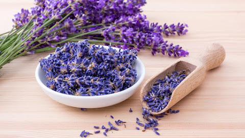 Lavender: From Garden to Healing Haven - Unraveling the Beauty and Benefits.