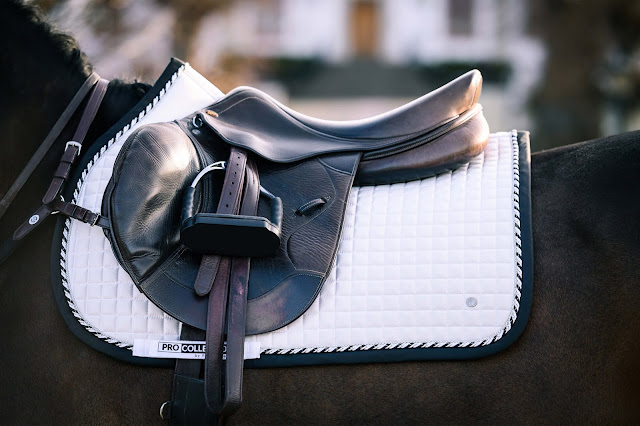 Horse Saddle Pads