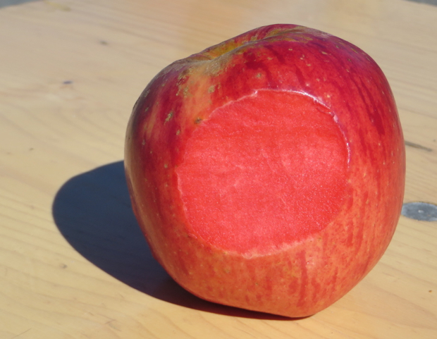 Apple sliced to reveal red flesh