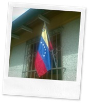 Imagen209