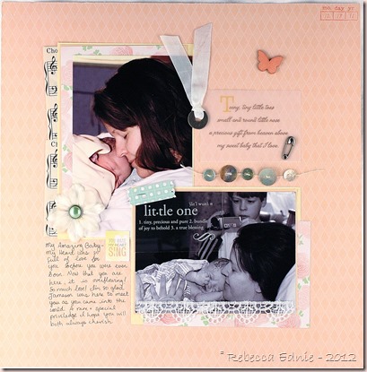 teddy newborn layout right side teddy newborn layout right side
