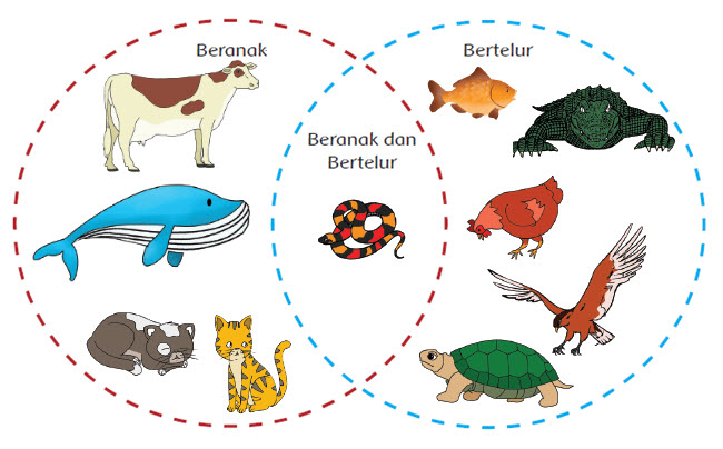 Materi Ajar Kelas 6 Tema 1 Subtema 2 Pembelajaran 1